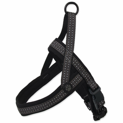 Oprsnica Active Dog Neoprene L siva 3.2x72-90cm