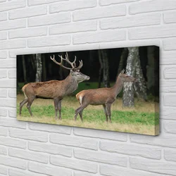 tulup.si Slika na platnu Jelen gozd 120x60 cm