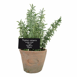 Umetna rastlina (višina 21,5 cm) Thyme – Esschert Design