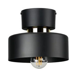 Plafonsko svetlo IGNIA 1xE27/60W/230V crna/zlatna