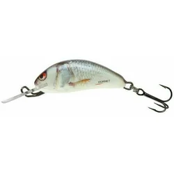 Salmo Hornet Sinking 3.5cm Real Dace