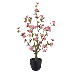 Grančica Cveta Trešnje 64cm Kirschblüte