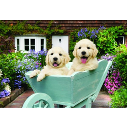 AnaTolian - Puzzle Puppies in a Wheelbarrow - 200 - 260 kosov