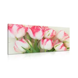 Slika tulipani s spomladanskim pridihom - 200x100