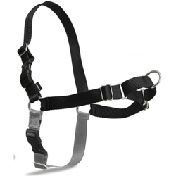 Oprsnica Easy Walk Harness