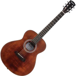 Pasadena PT-200 Vintage Akustična kitara (Kot novo)