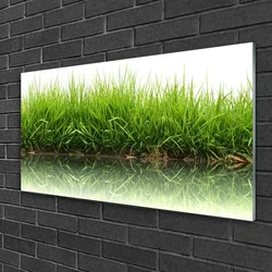 tulup.si Steklena slika Grass nature rastlin 120x60 cm 2 obešalnika