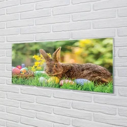 tulup.si Steklena slika Rabbit jajca travnik 140x70 cm 2 obešalnika