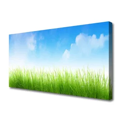 tulup.si Slika na platnu Grass nature rastlin 100x50 cm