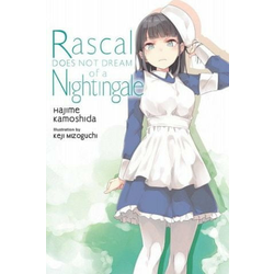 Rascal Does Not Dream, Vol. 11 (light novel)