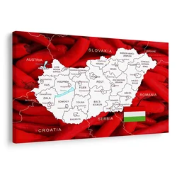 Slika zemljevid Madžarske s tipičnim ozadjem - 60x40