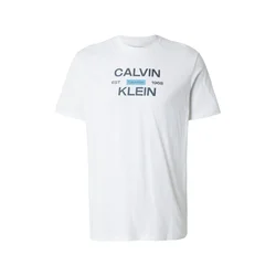 Calvin Klein Jeans Majica  safir / svetlo modra / bela