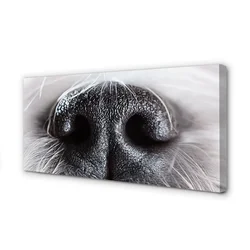 tulup.si Slika na platnu Psu nos 100x50 cm