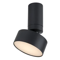 Rabalux Spot lampa Ovidia, Nadgradna, Podesiva, LED, 10W, 3000K, Crna