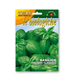 Seme Bazilika klasična