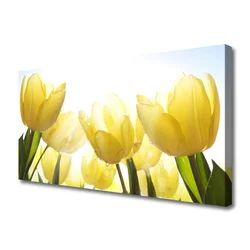 tulup.si Slika na platnu Tulipani flowers rays 100x50 cm