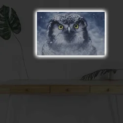 Wallity Slika sa LED osvetljenjem 4570DHDACT-070, 45x70 cm