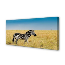 tulup.si Slika na platnu Zebra polje 120x60 cm