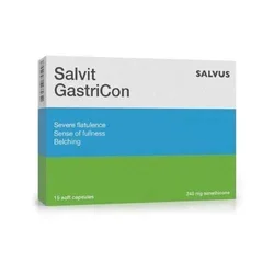Salvit Gastricon 240Mg, 15 kapsula