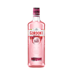 GORDONS Džin Pink, 100cl