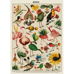Grafika - Puzzle Ptice z Beto Val - 500 kosov