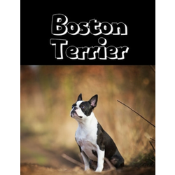 Boston Terrier: Large College Ruled Notebook - Perfect Gift for Bostie Moms Dads Owner Lovers