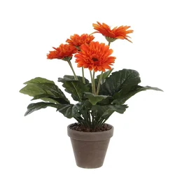 Umetna gerbera, oranžna