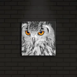 Wallity Slika sa LED osvetljenjem 2828IACT-19, 28x28 cm