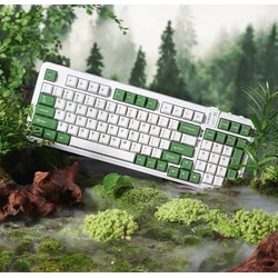 Ausdom Tastatura, Zeleno-bela