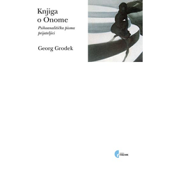 Knjiga o onome: psihoanalitička pisma prijateljici