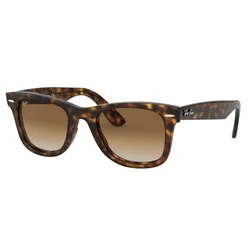 Ray-Ban Naočare za sunce 0RB4340 710/5150 Wayfarer, Braon