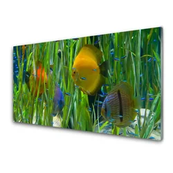 tulup.si Slika na steklu Ribe, alg narava 140x70 cm 2 obešalnika