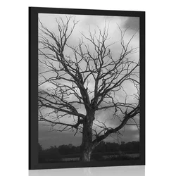 Plakat črnobelo drevo na travniku - 40x60 no frame