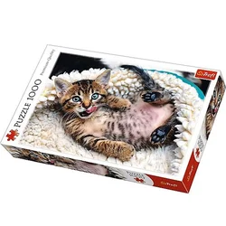 Trefl Puzzle Cheerful Kitten 1000pcs 10448