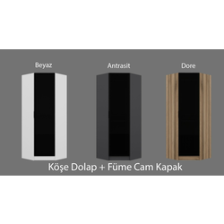 Hanah Home Ormar Kale Glass3 210
