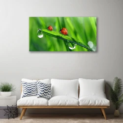 tulup.si Slika na platnu Pikapolonica grass drops 100x50 cm