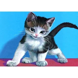 shumee Diamantno vezenje Rascal Kitten 30x40 cm
