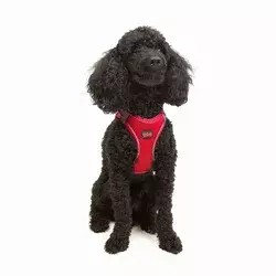 Paws & Whiskers Am za pse Air-Mesh, Crveni