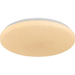 Rabalux 71447 - LED prigušiva stropna svetiljka DANNY 2 LED/60W/230V 3000-6500K prečnik 58 cm + daljinski upravljač