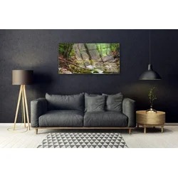 tulup.si Slika na akrilnem steklu Forest moss narava 100x50 cm 4 obešalnika