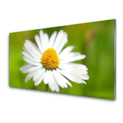 tulup.si Steklena slika Daisy rastlin narava 100x50 cm 2 obešalnika