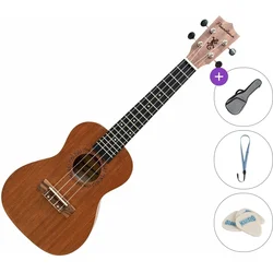 Pasadena SU024BG Standard SET Natural Koncertne ukulele