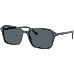 Ray-Ban Raimond Naočare za sunce RB 2231 1417R5