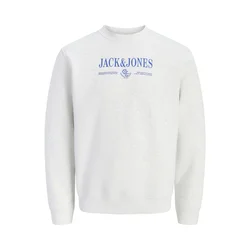 JACK & JONES Majica JORFREDERIKSBERG modra/pegasto bela