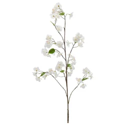 Grančica Cveta Trešnje 126cm Kirschblüte