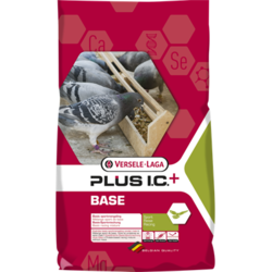 VL BASE PLUS IC GOLOBI 20KG