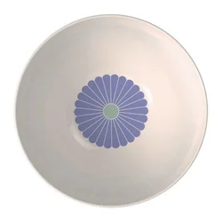 Villeroy & Boch SKLEDA ZA SOLATO