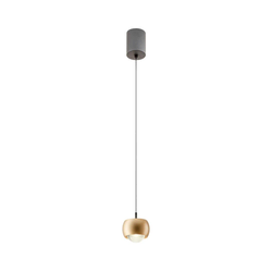 Redo 01-3547 - LED luster na sajli AVES LED/12W/230V, prečnik 9,6 cm, CRI 90, zlatna