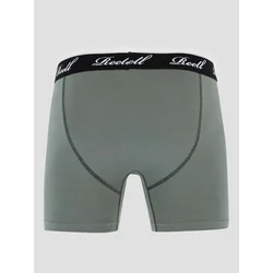 REELL Trunks Boksarice grey green