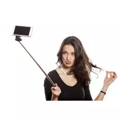 Selfie stick